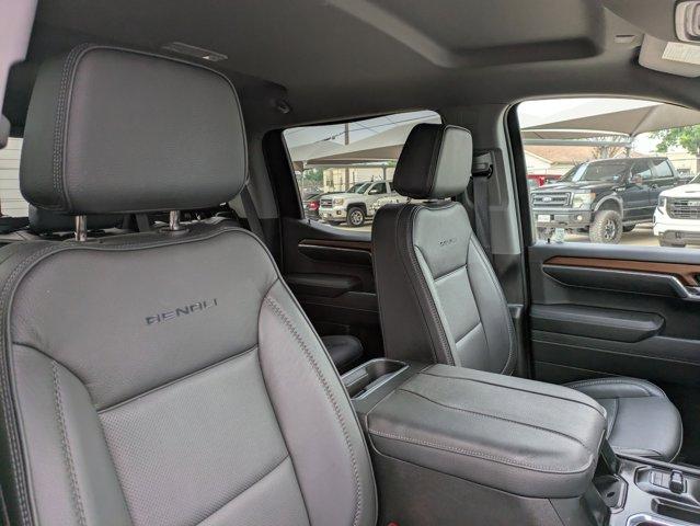 2023 GMC Sierra 1500 Vehicle Photo in SELMA, TX 78154-1459