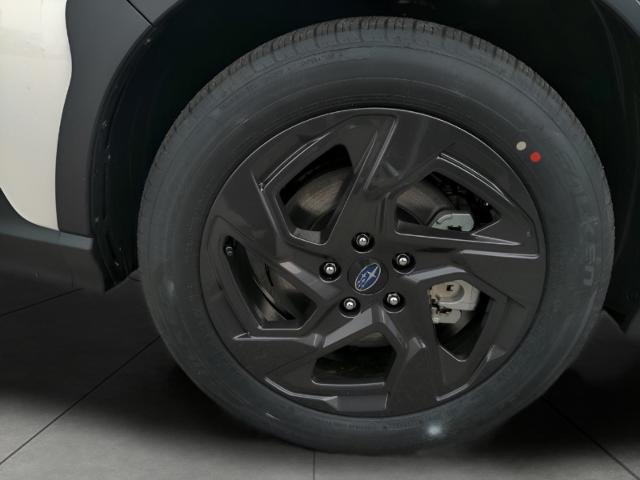 2025 Subaru Crosstrek Vehicle Photo in Green Bay, WI 54304