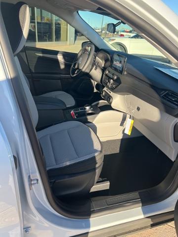 2025 Ford Escape Vehicle Photo in Winslow, AZ 86047-2439