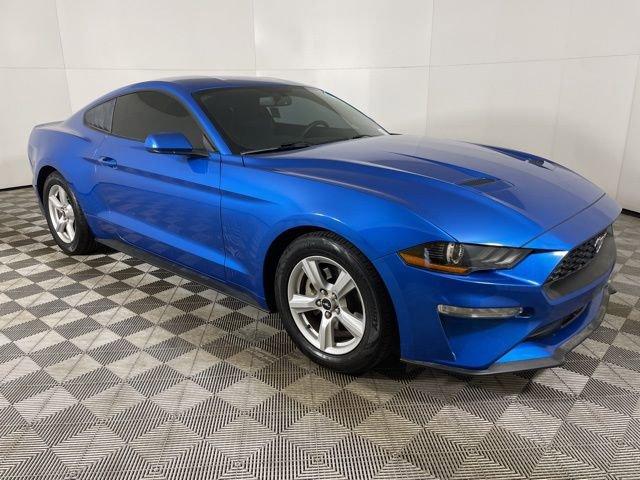 2019 Ford Mustang Vehicle Photo in PHOENIX, AZ 85014-3381