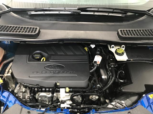 2017 Ford Escape Vehicle Photo in GREEN BAY, WI 54303-3330