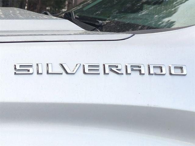 2019 Chevrolet Silverado 1500 Vehicle Photo in ALBERTVILLE, AL 35950-0246