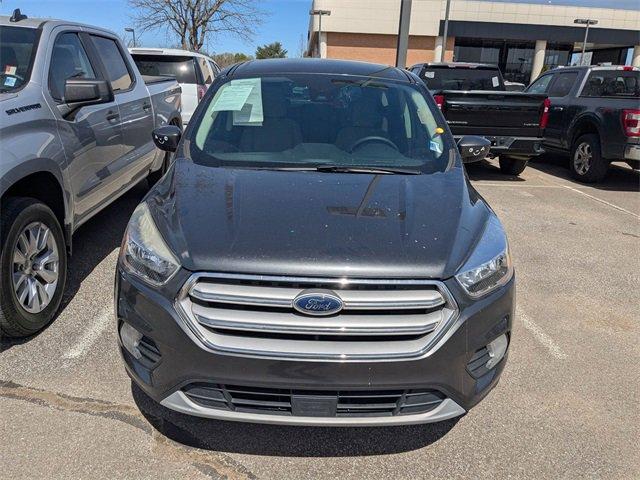 2019 Ford Escape Vehicle Photo in COLLIERVILLE, TN 38017-9006