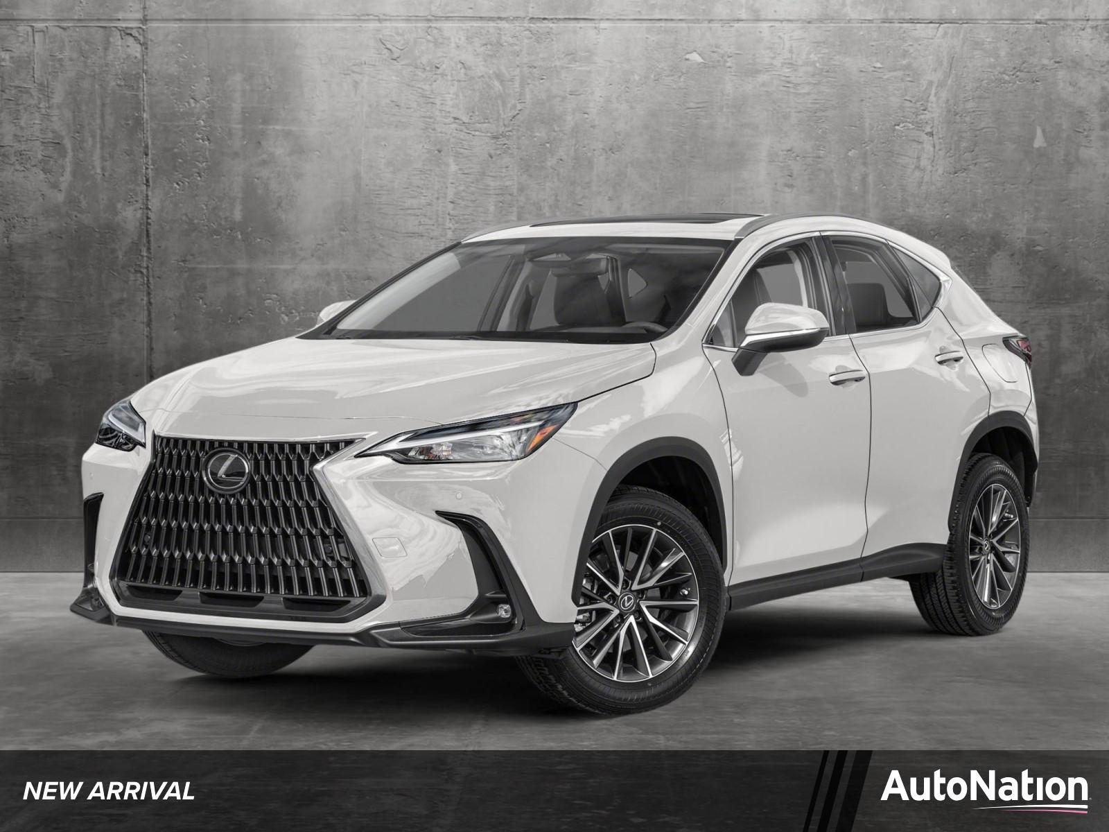 2024 Lexus NX 250 Vehicle Photo in Clearwater, FL 33761