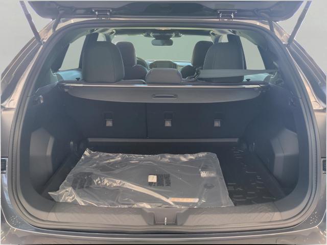 2025 Subaru Crosstrek Vehicle Photo in Green Bay, WI 54304