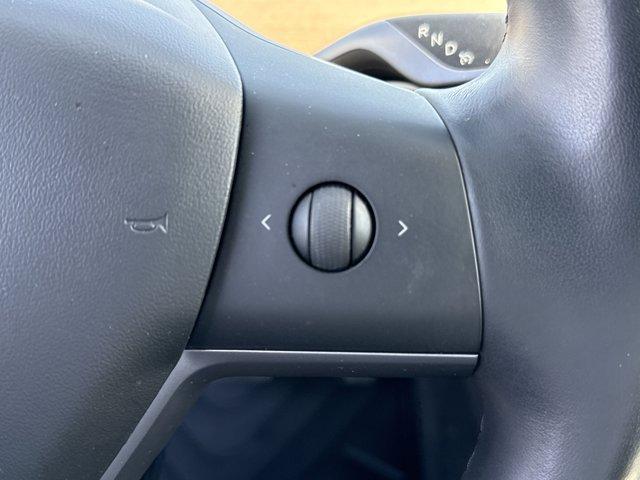 2019 Tesla Model 3 Vehicle Photo in Charlotte, NC 28212