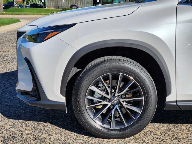 2024 Lexus NX 250 Vehicle Photo in FORT WORTH, TX 76132