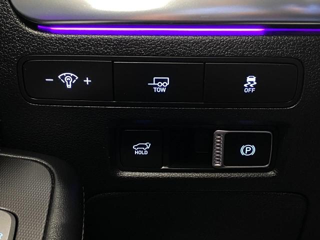 2024 Hyundai PALISADE Vehicle Photo in Appleton, WI 54913