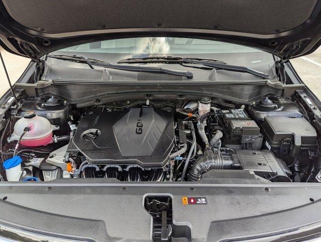 2024 Kia Sportage Vehicle Photo in San Antonio, TX 78230
