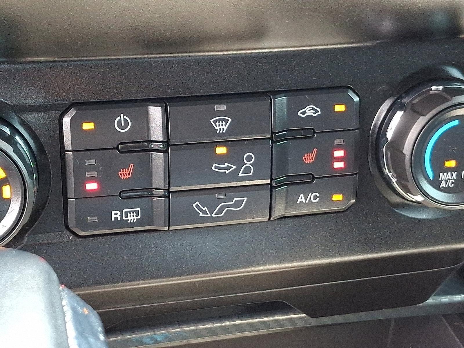 2019 Ford F-150 Vehicle Photo in Trevose, PA 19053