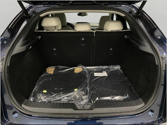 2025 Mazda CX-30 Vehicle Photo in Appleton, WI 54913