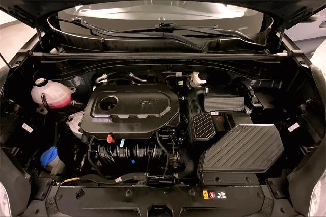 2022 Kia Sportage Vehicle Photo in Lees Summit, MO 64086