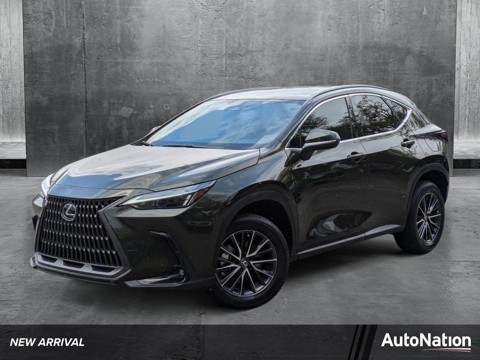 2024 Lexus NX 250 Vehicle Photo in Tampa, FL 33614