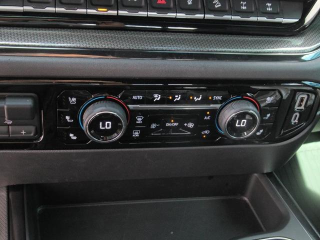 2024 Chevrolet Silverado 1500 Vehicle Photo in LEESBURG, FL 34788-4022