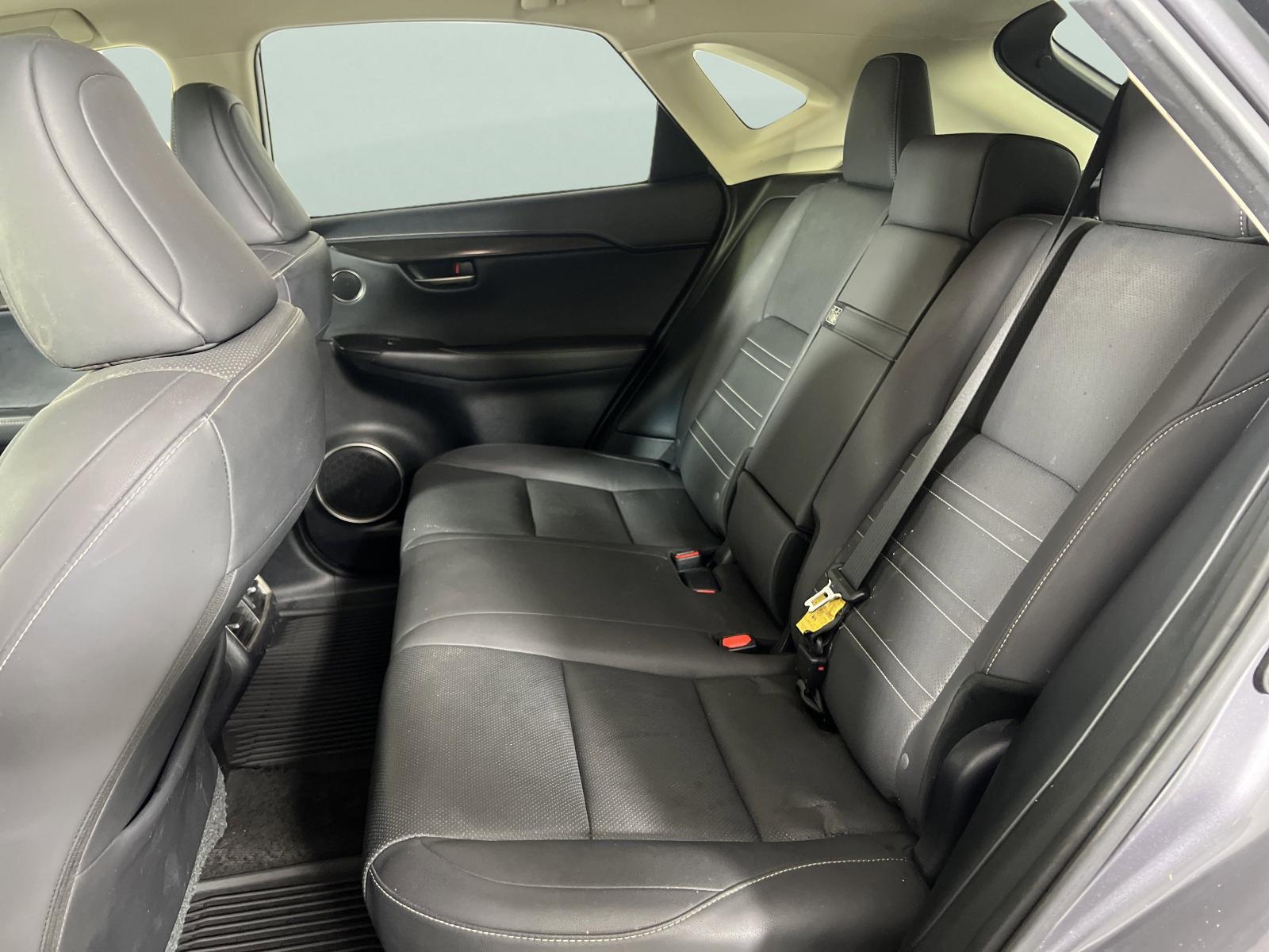 2019 Lexus NX 300 Vehicle Photo in Georgetown, TX 78626