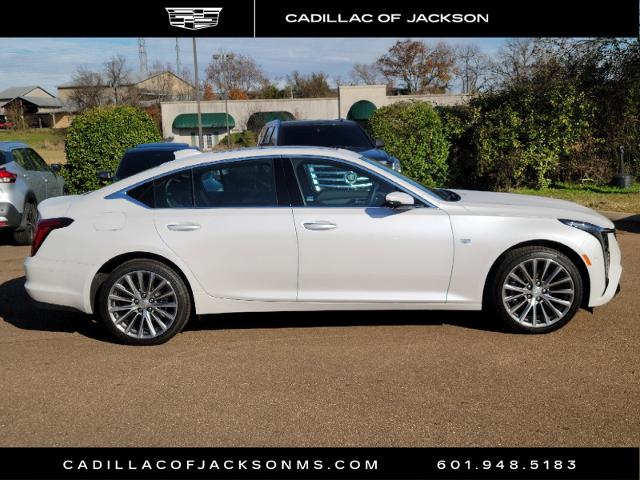 2025 Cadillac CT5 Vehicle Photo in RIDGELAND, MS 39157-4406