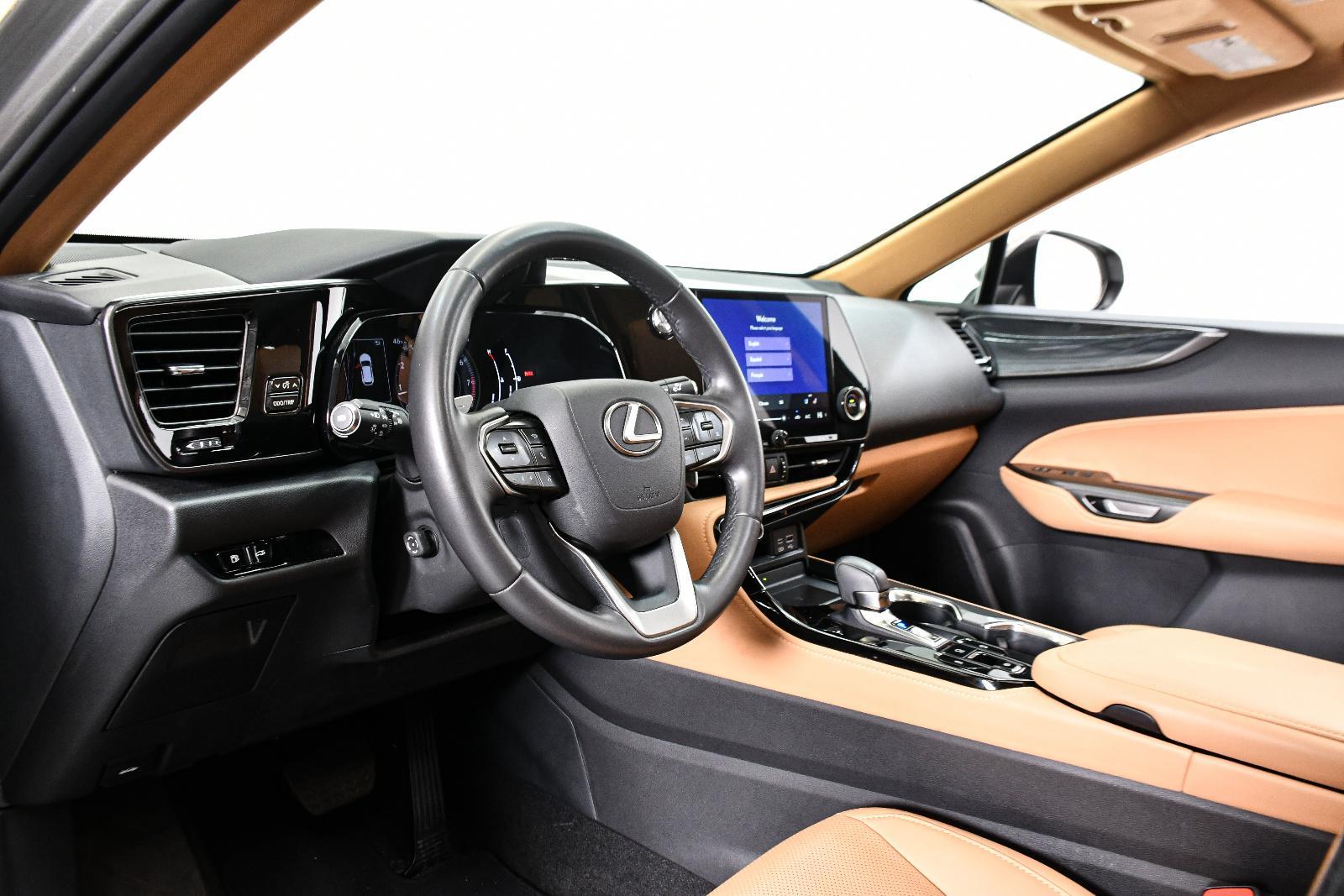 2024 Lexus NX 250 Vehicle Photo in DALLAS, TX 75235