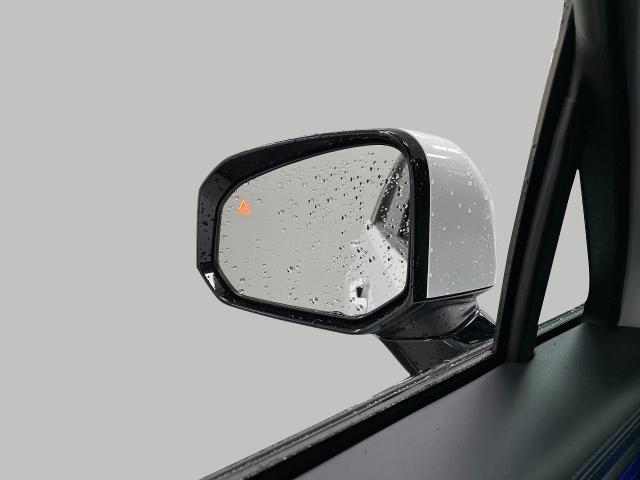 2025 Hyundai SANTA FE Vehicle Photo in Appleton, WI 54913