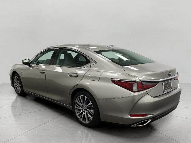 2019 Lexus ES 350 Vehicle Photo in Appleton, WI 54913