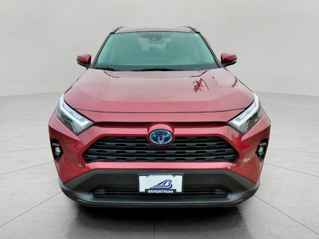 2022 Toyota RAV4 Vehicle Photo in Appleton, WI 54914