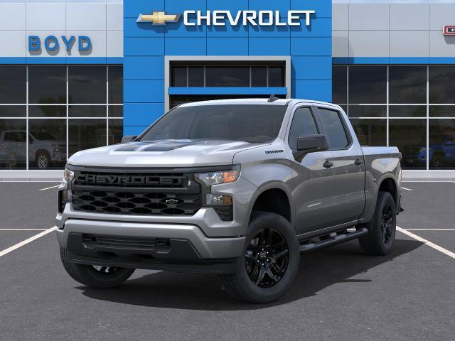 2025 Chevrolet Silverado 1500 Vehicle Photo in EMPORIA, VA 23847-1235