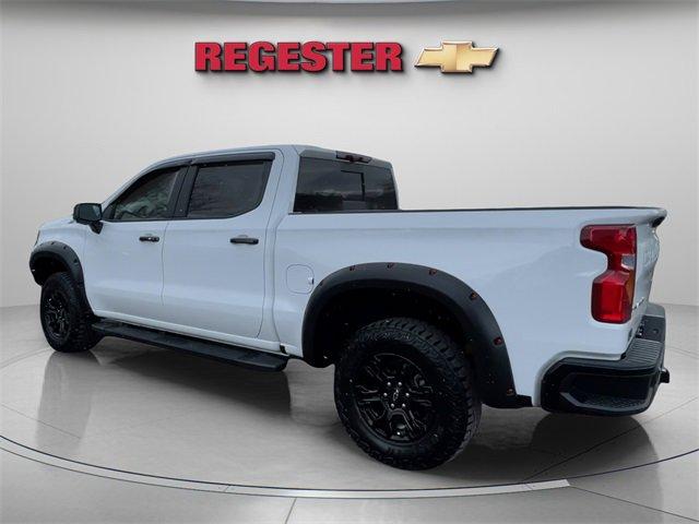 2024 Chevrolet Silverado 1500 Vehicle Photo in THOMPSONTOWN, PA 17094-9014