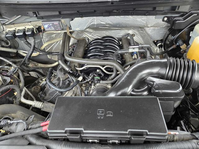 2014 Ford F-150 Vehicle Photo in DENTON, TX 76210-9321
