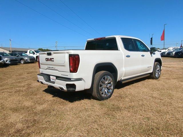 2025 GMC Sierra 1500 Vehicle Photo in ALBERTVILLE, AL 35950-0246