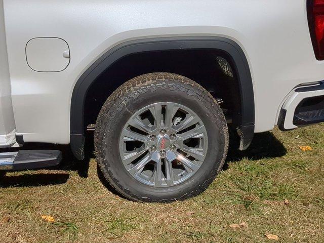 2025 GMC Sierra 1500 Vehicle Photo in ALBERTVILLE, AL 35950-0246