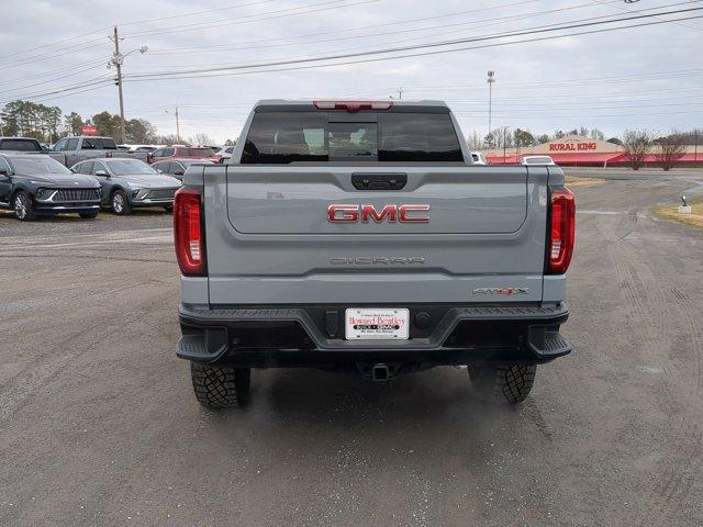 2025 GMC Sierra 1500 Vehicle Photo in ALBERTVILLE, AL 35950-0246