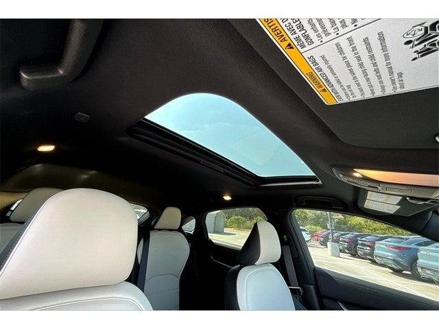 2025 INFINITI QX55 Vehicle Photo in San Antonio, TX 78230