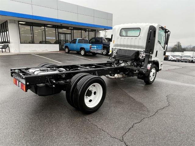 2024 Chevrolet Low Cab Forward 4500 Vehicle Photo in ALCOA, TN 37701-3235