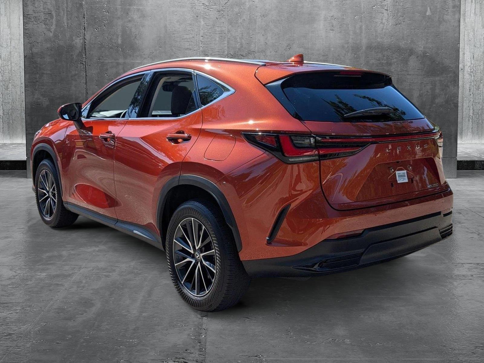 2024 Lexus NX 250 Vehicle Photo in West Palm Beach, FL 33417