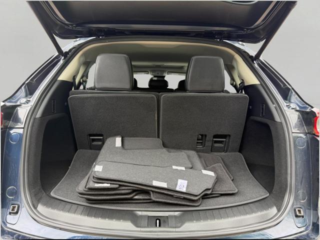 2021 Mazda CX-9 Vehicle Photo in Appleton, WI 54914