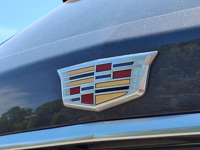 2019 Cadillac XT5 Vehicle Photo in DANBURY, CT 06810-5034