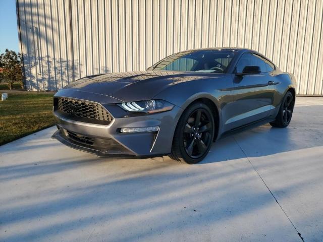 2022 Ford Mustang Vehicle Photo in BROUSSARD, LA 70518-0000