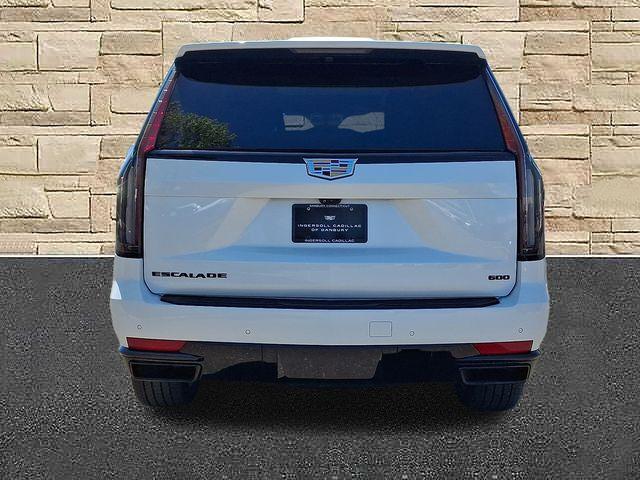 2022 Cadillac Escalade Vehicle Photo in DANBURY, CT 06810-5034