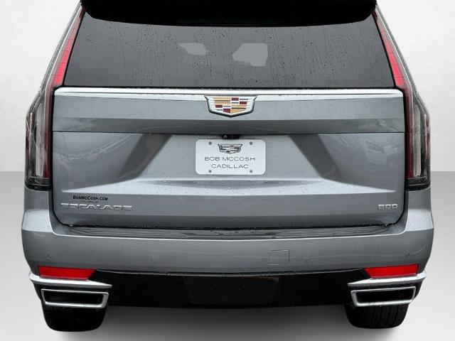 2021 Cadillac Escalade Vehicle Photo in COLUMBIA, MO 65203-3903