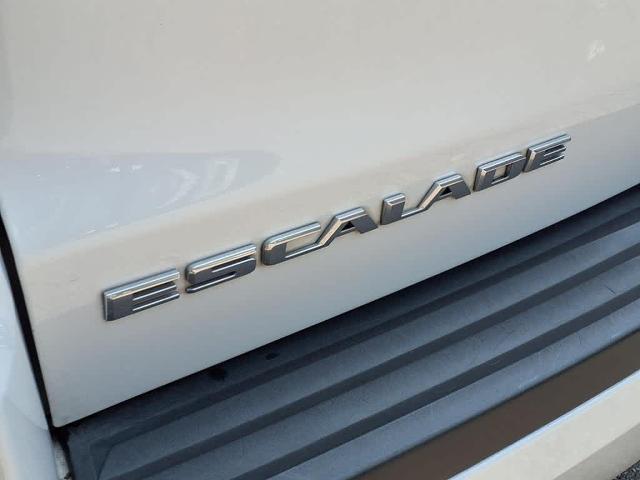 2020 Cadillac Escalade Vehicle Photo in San Antonio, TX 78230-1001
