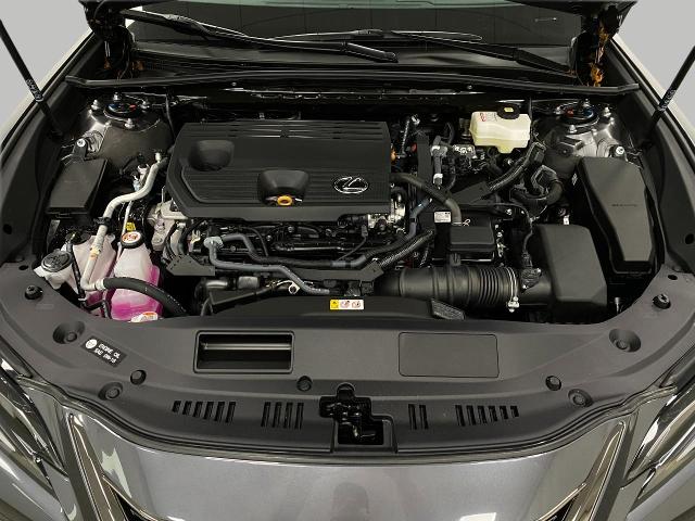 2025 Lexus ES 300h Vehicle Photo in Appleton, WI 54913