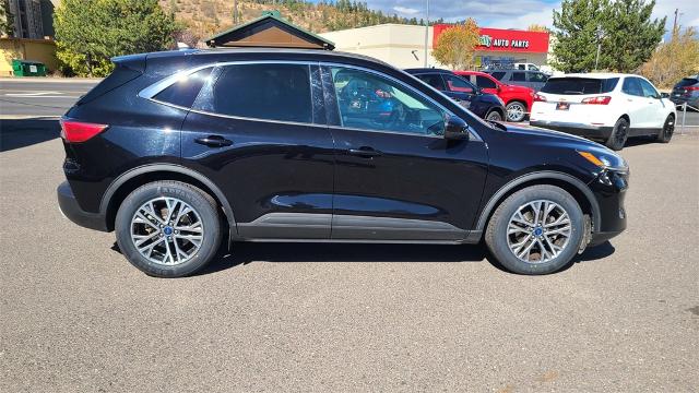 2021 Ford Escape Vehicle Photo in FLAGSTAFF, AZ 86001-6214