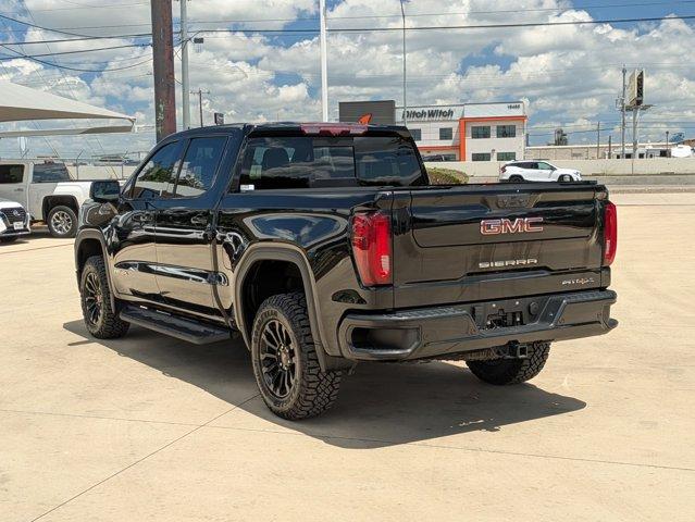 2022 GMC Sierra 1500 Vehicle Photo in SELMA, TX 78154-1459
