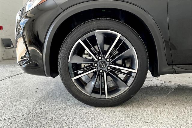 2024 INFINITI QX55 Vehicle Photo in San Antonio, TX 78230