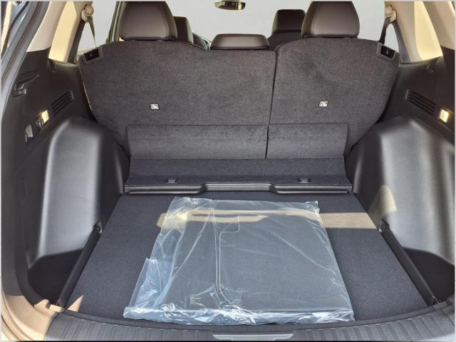2026 Honda CR-V Vehicle Photo in Oshkosh, WI 54904