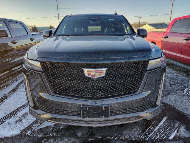 2023 Cadillac Escalade Vehicle Photo in GREEN BAY, WI 54304-5303