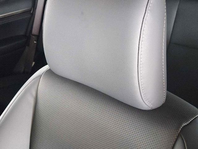 2023 Lexus GX 460 Vehicle Photo in DALLAS, TX 75209
