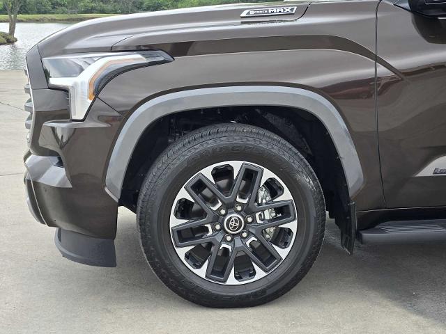 2024 Toyota Sequoia Vehicle Photo in DENTON, TX 76210-9321