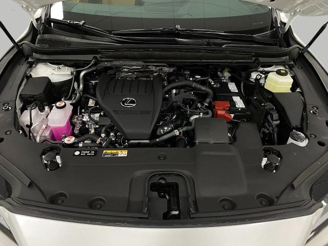 2025 Lexus RX 350 Vehicle Photo in Appleton, WI 54913