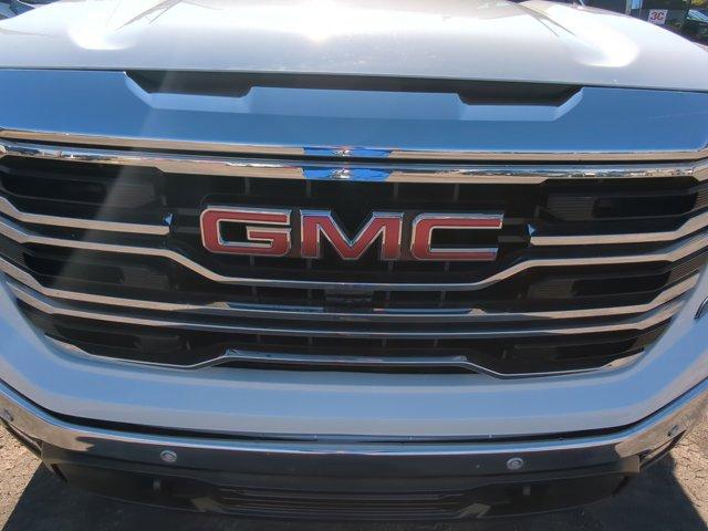 2025 GMC Sierra 1500 Vehicle Photo in ALBERTVILLE, AL 35950-0246