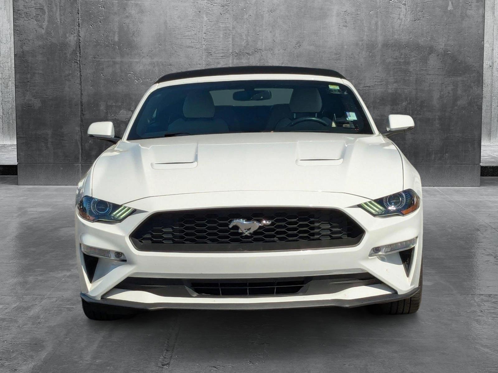 2019 Ford Mustang Vehicle Photo in St. Petersburg, FL 33713